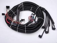 Wiring Harness for Automotive