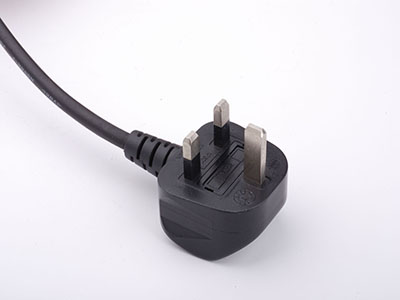 Plug