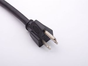 Plug